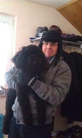 brianking_poodle, nov. 2012 brianking_poodle